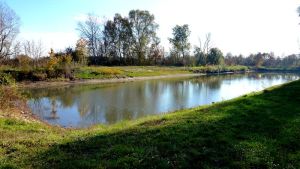 GÄNSEWEIDETEICH (Karpfenteich)